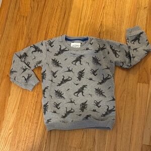 Fatface Gray Dinosaur Sweatshirt
